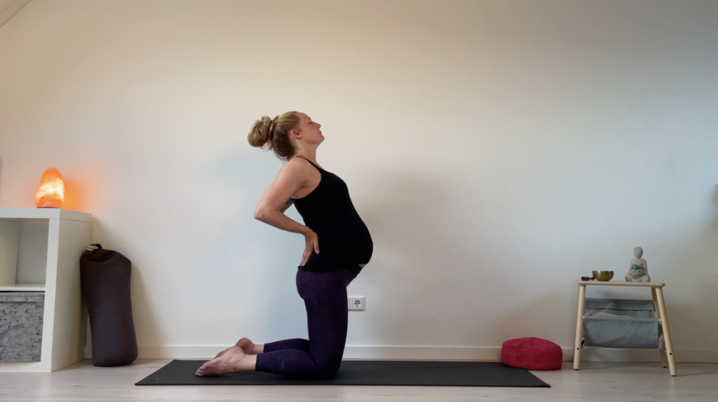zwangerschapsyoga online yoga yogalessen zwangerschapsvoorbereiding zwanger zwangerschap