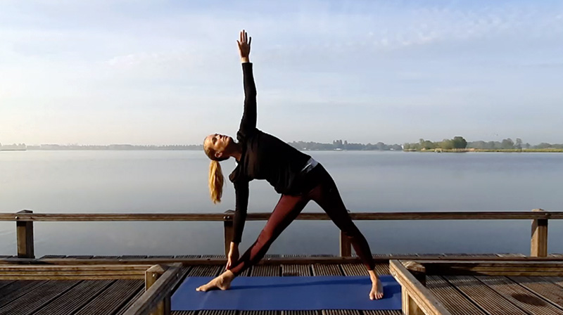 Vinyasa yoga bernanda online yoga
