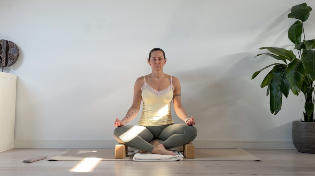 online yoga platform yogalessen kleermakerszit zonlicht flow